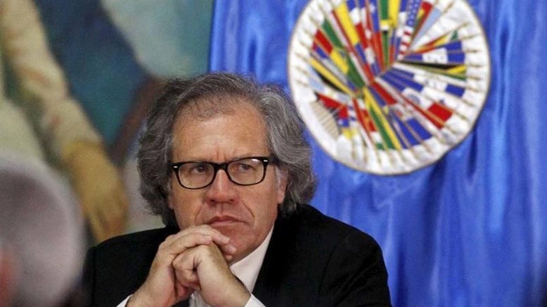 almagro oea