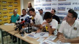 consulta ciudadana MUD