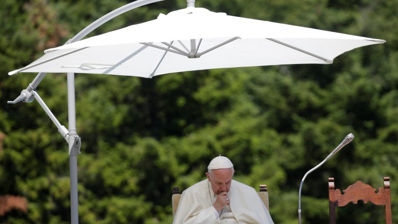 papa francisco solidaridad