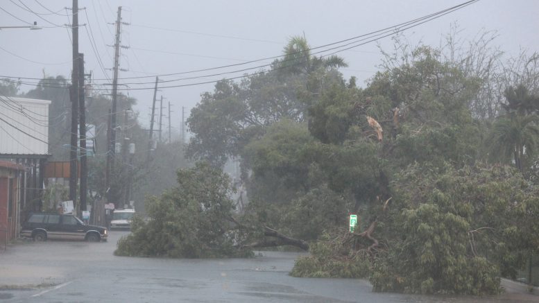 Irma en puerto rico