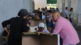 votación en primarias