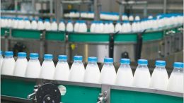 Producción de Leche