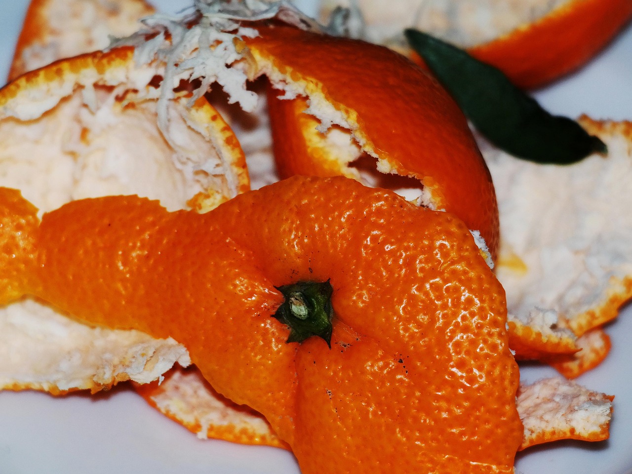 casca de laranja, concha, laranja, fechar-se, superfície, estrutura, datailaufnahme, descascada, desperdício, lixo, desperdício orgânico