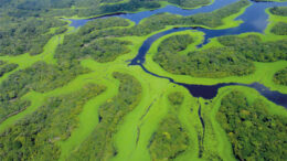 Cerca islas forman laberinto canales