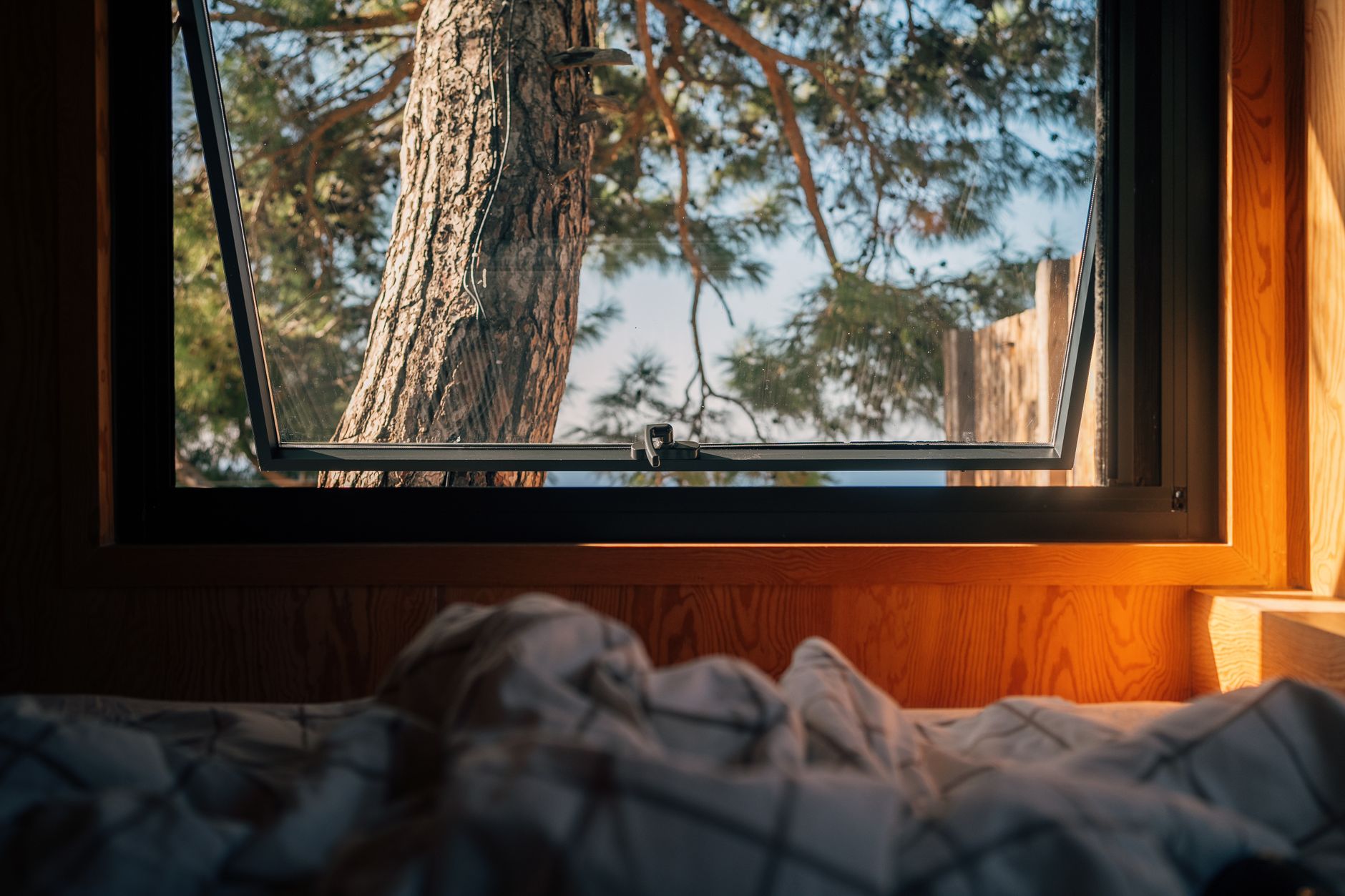 Um interior de cabana quente e convidativo com vista para uma árvore através de uma janela aberta.