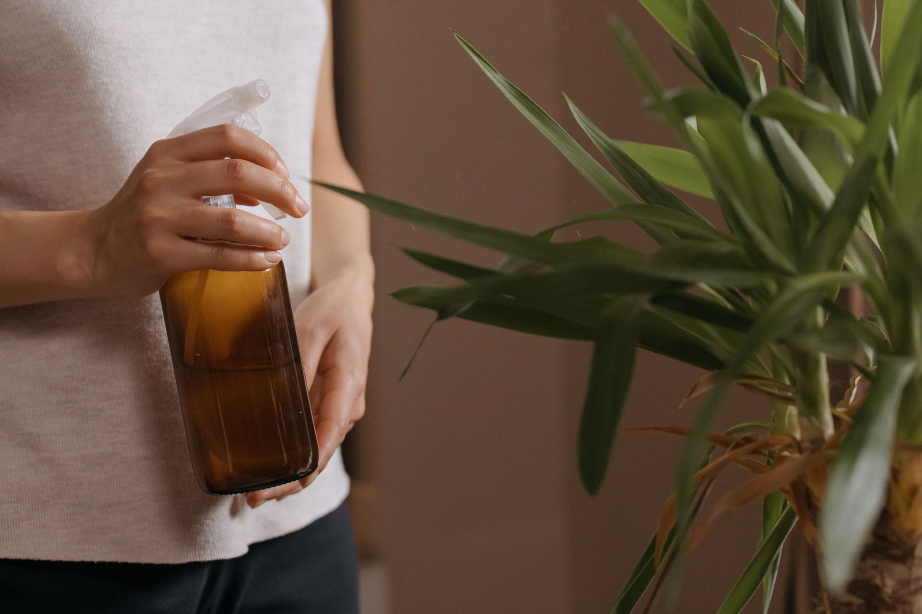 Uma mulher com uma roupa casual segura um frasco spray para regar uma planta de interior, capturada em close-up dentro de casa.