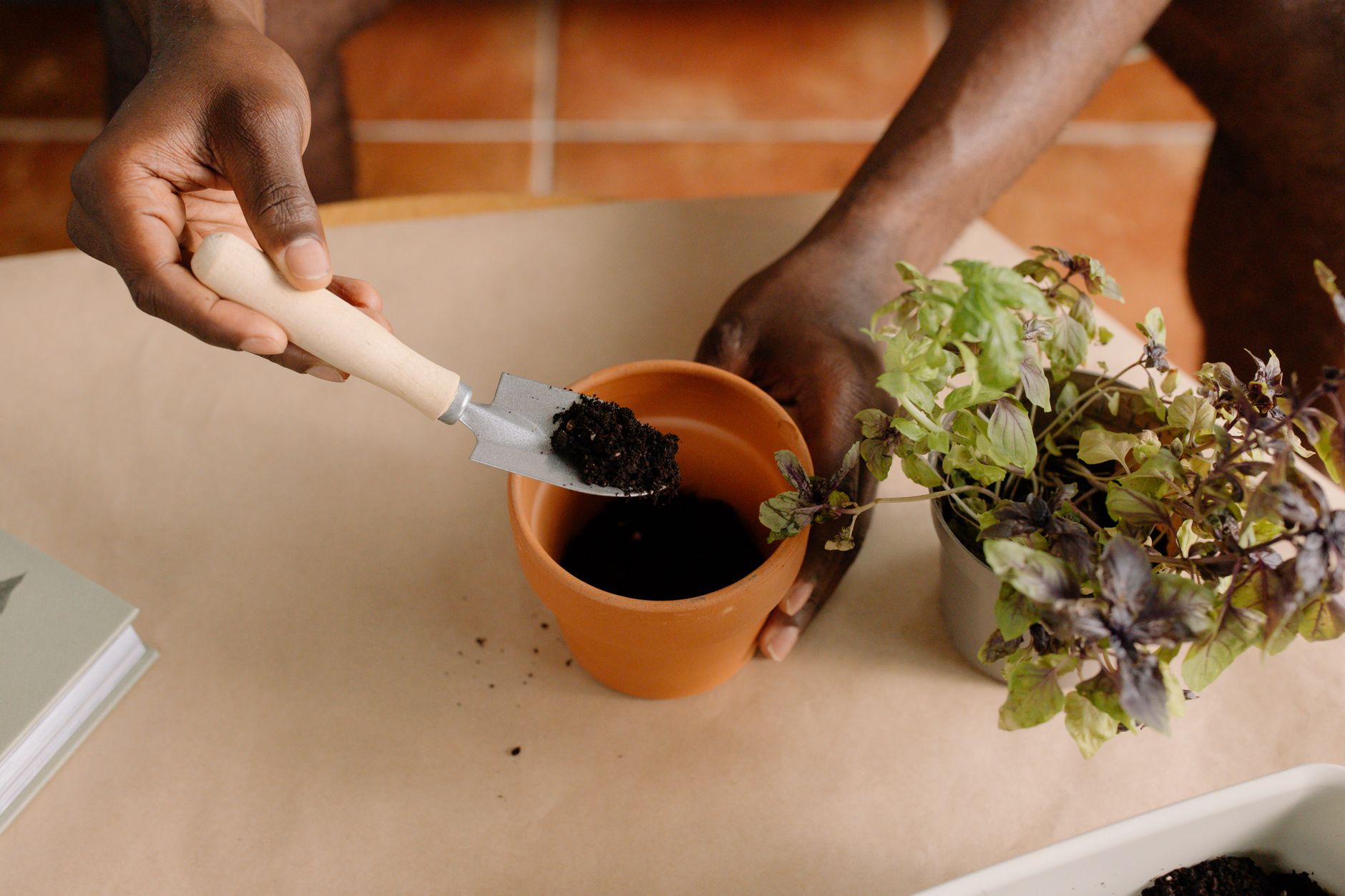 Close-up de uma pessoa plantando ervas em um vaso com terra dentro de casa.