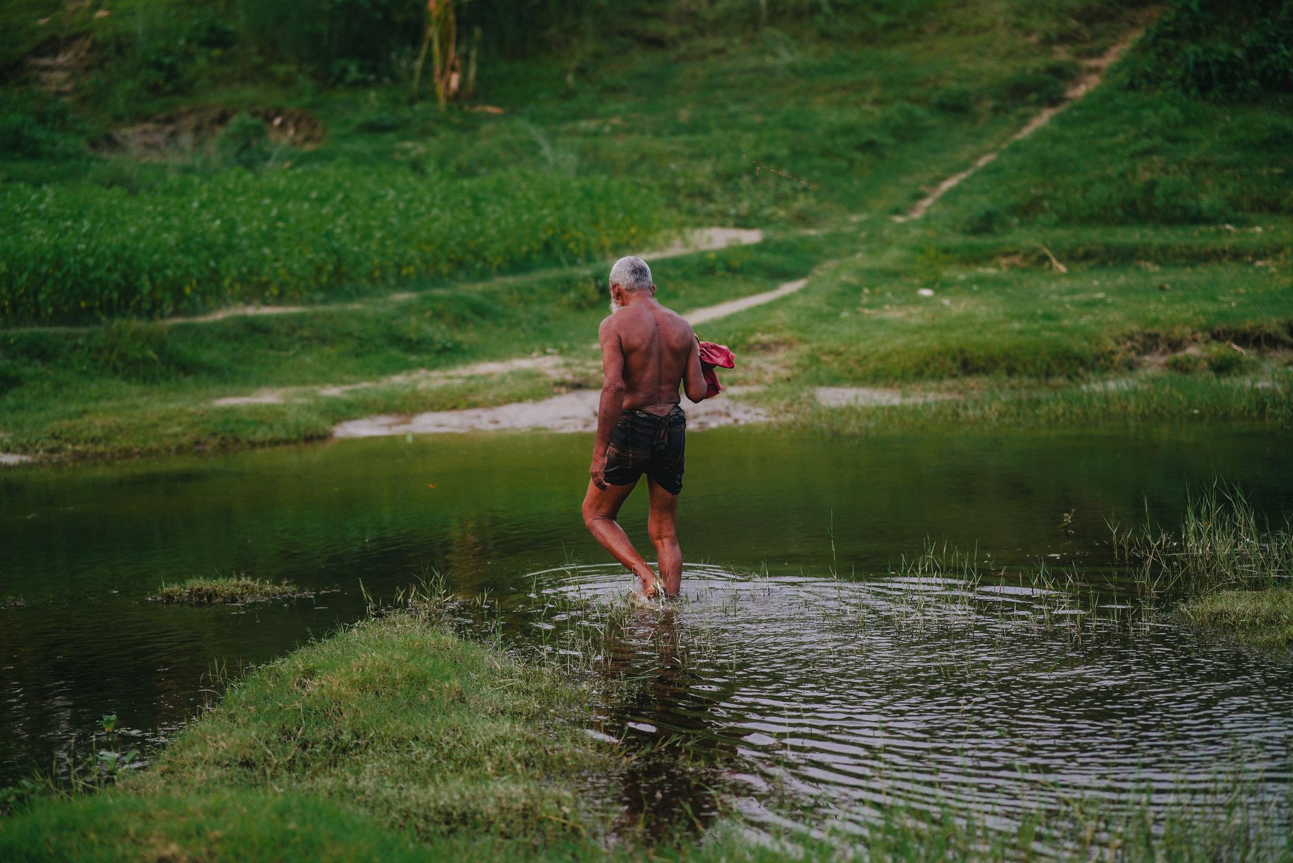 Um senhor idoso caminha por um lago em uma paisagem rural serena, exibindo solidão e a tranquilidade da natureza.