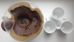 Borra café conserva cerca nitrógeno