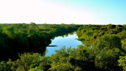 Llegar parque del pantanal hay