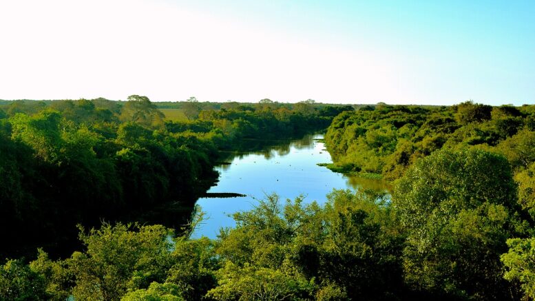 Llegar parque del pantanal hay