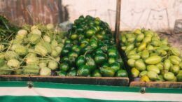 Parece pepino con espinas pasa