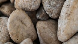 Tropezó con una piedra una
