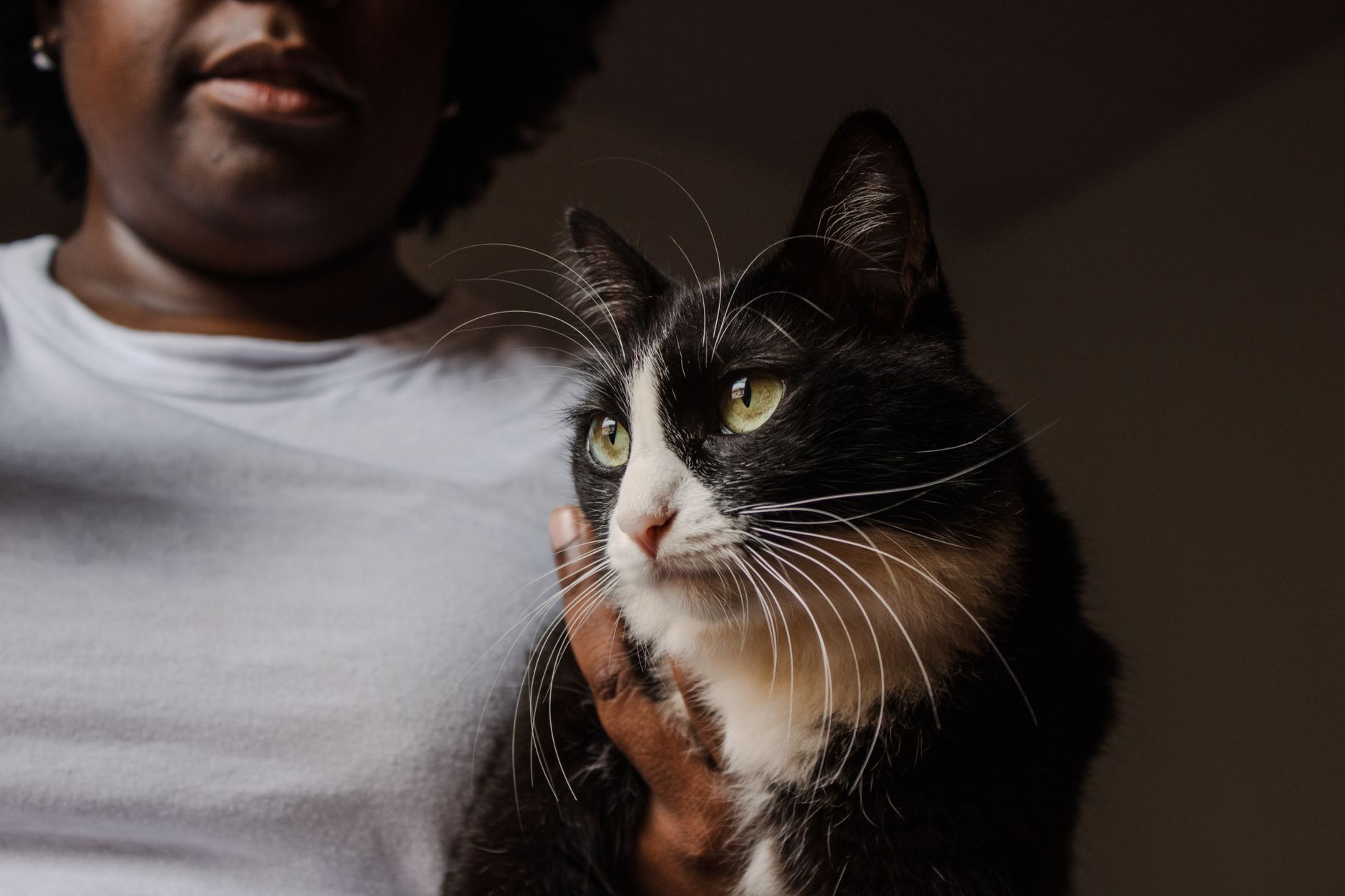 Um retrato em close de uma mulher segurando suavemente um gato preto e branco dentro de casa.