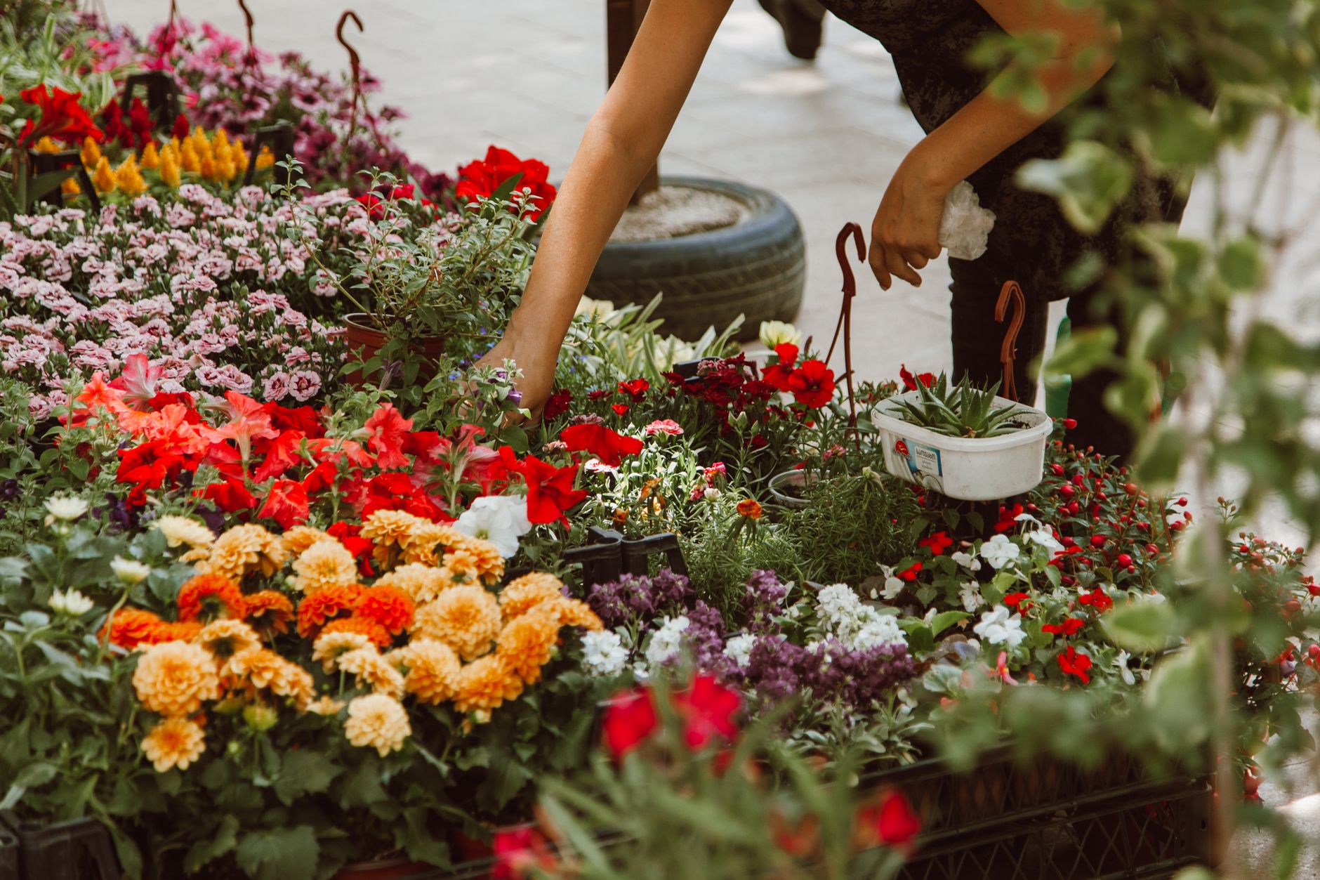 Banca de flores vibrante com diversas flores em uma rua movimentada da cidade. Perfeito para temas de natureza e urbanos.