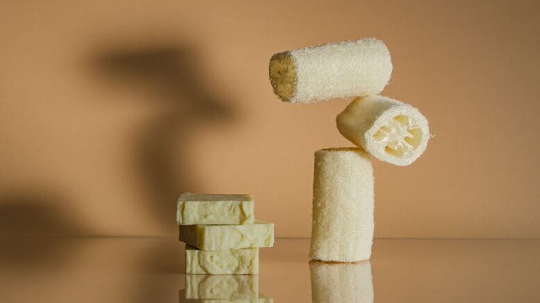 Una esponja vegetal luffa seca