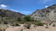 Una estancia argentina casi hectáreas