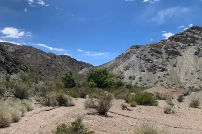 Una estancia argentina casi hectáreas