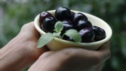 Una jabuticabera híbrida puede producir