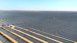 Veinte millones paneles solares cubren